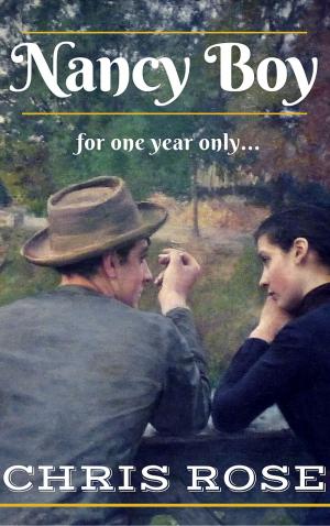 Cover of the book Nancy Boy: For One Year Only… (The Rowlings Years, book 2) by Marie Minnich