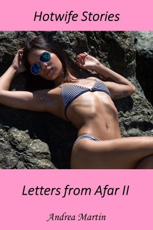 bigCover of the book Hotwife Stories: Letters from Afar II by 