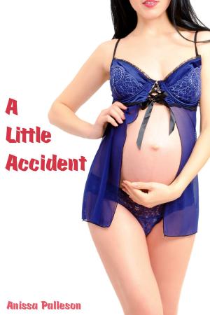 Cover of A Little Accident