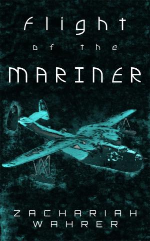 Cover of the book Flight of the Mariner by Matt Allen