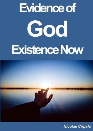 Cover of the book Evidence of God Existence Now by Nicolae Cirpala