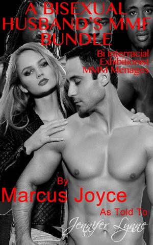 Book cover of A Bisexual Husband's MMF Bundle: Bi Interracial Exhibitionist MMM Ménages