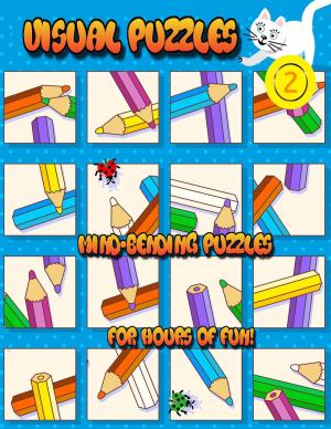 Book cover of Visual Puzzles 2