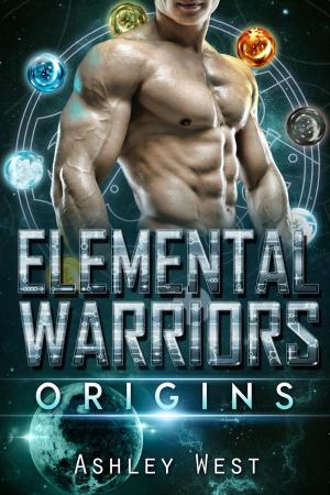 Cover of the book Elemental Warriors: Origins by Cristina Grenier, Sasha Smith