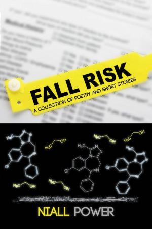 Cover of the book Fall Risk by Chris Lee Hodges