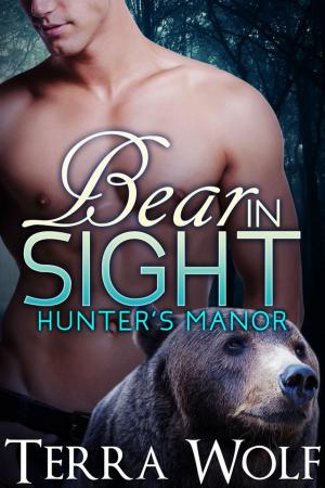 Book cover of Bear in Sight