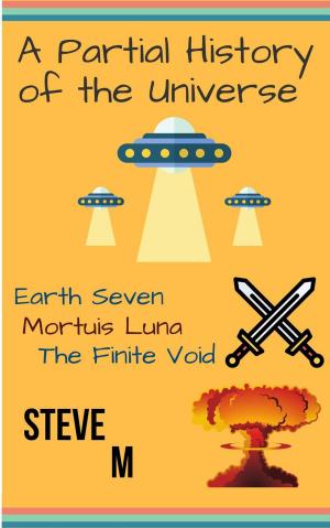Cover of the book A Partial History of the Universe by Steve M