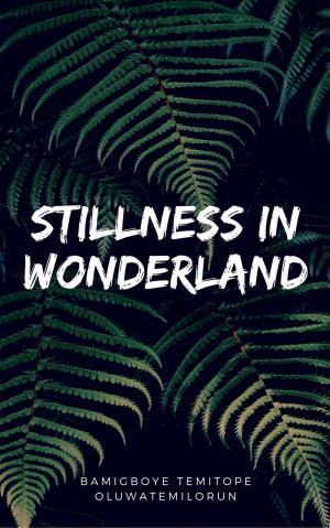 Cover of the book Stillness In Wonderland by Gil Hardwick