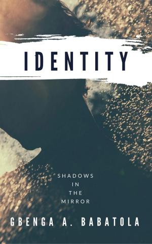 Book cover of Identity: Shadows In The Mirror