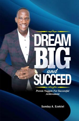 Cover of the book Dream Big And Succeed by Paul Jackson