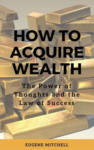 Cover of the book How to Acquire Wealth by Paul C Burr
