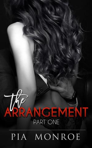 Cover of The Arrangement (Part One)