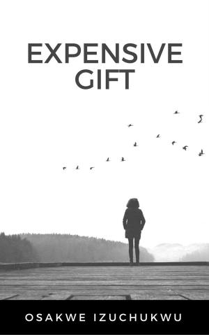 Cover of the book Expensive Gift by Nathan Berry