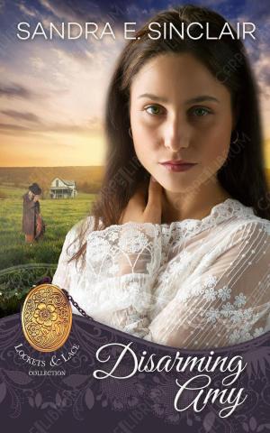 Cover of the book Disarming Amy by Marti Gruter