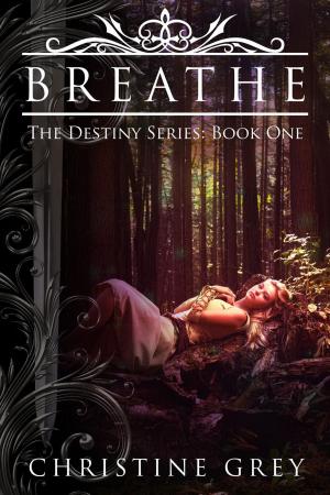 Cover of the book Breathe by JM Panettiere