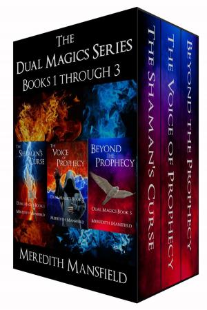 bigCover of the book Dual Magics Series Books 1 - 3 by 
