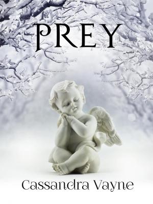Cover of the book Prey by Jenna Singer