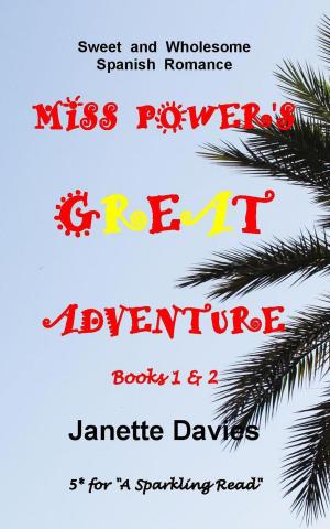 Cover of the book Miss Power's Great Adventure by Ruth Cardello