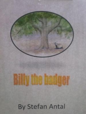 Cover of the book Billy the Badger by Jill Divine