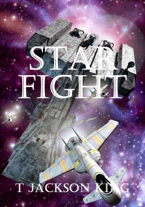 Cover of the book Star Fight by Anaïd Haen