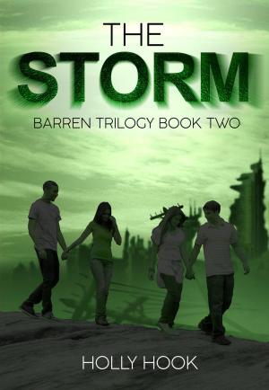 Cover of the book The Storm by Holly Hook