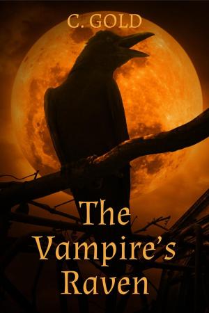 Cover of the book The Vampire's Raven by Angel Steel