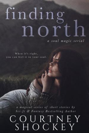 Cover of the book Finding North by Marion Hill