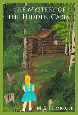 Cover of the book The Mystery of the Hidden Cabin by Rainy Kirkland