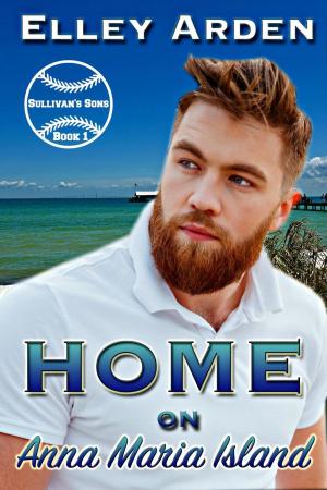 Book cover of Home on Anna Maria Island