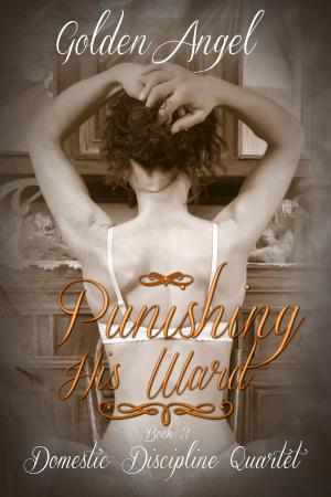 Cover of the book Punishing His Ward by Richard Rubacher