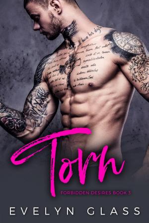Cover of the book Torn: A Dark Bad Boy Romance by Paula Cox
