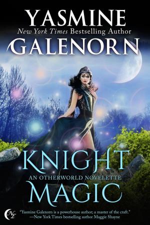 Book cover of Knight Magic