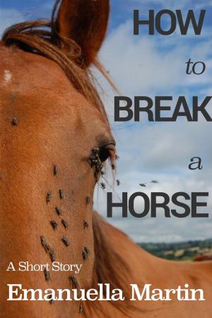 Cover of the book How to Break a Horse by L A Morgan