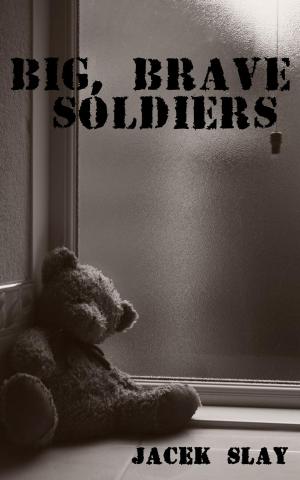Book cover of Big, Brave Soldiers