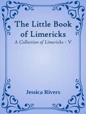Book cover of The Little Book of Limericks