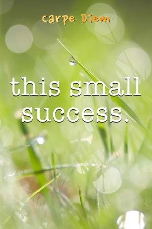 Cover of This Small Success