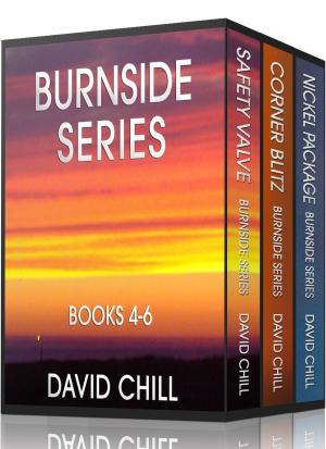 Cover of The Burnside Mystery Series, Box Set #2 (Books 4-6)