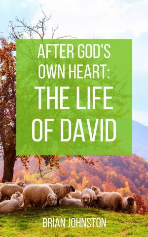 Cover of the book After God's Own Heart : The Life of David by EDWIN NEELY