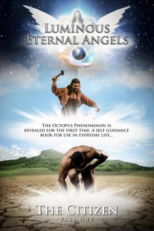 Cover of the book Luminous Eternal Angels by Stephen Simac