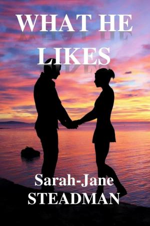 Cover of the book What He Likes by Janette Davies
