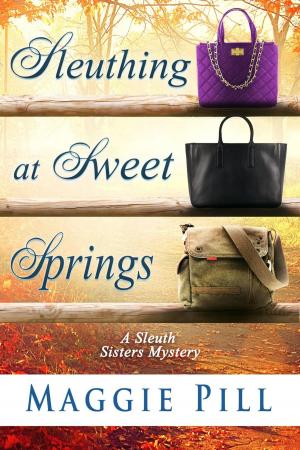 Cover of the book Sleuthing at Sweet Springs by Rebecka Vigus