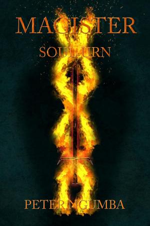 Cover of Soul Urn