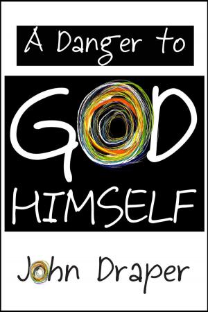 Cover of the book A Danger to God Himself by Scott Volentine
