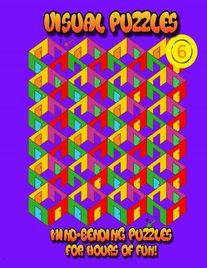 Cover of the book Visual Puzzles 6 by Andrew Mayne