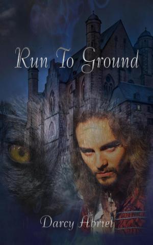 Cover of the book Run To Ground by Dennis L. McKiernan
