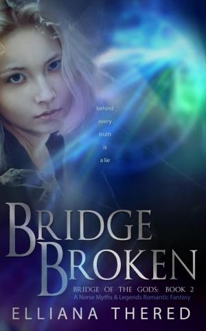 Cover of the book Bridge Broken by Martin Rouillard