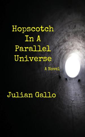 Book cover of Hopscotch In A Parallel Universe