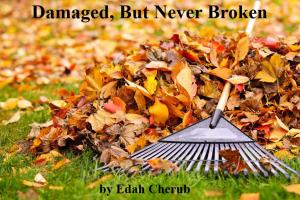 bigCover of the book Damaged, But Never Broken by 