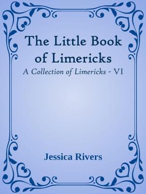 bigCover of the book The Little Book of Limericks by 