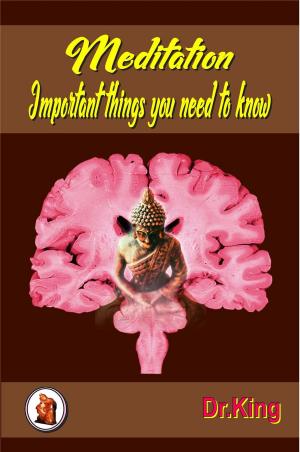 bigCover of the book Meditation - Important Things You Need to Know by 